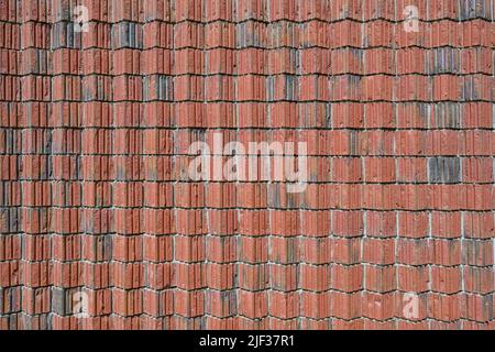 brick wall background texture, red masonry in special bond, the bricks are arranged at an angle, copy space Stock Photo