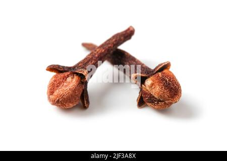 Dried cloves close up isolated on white Stock Photo