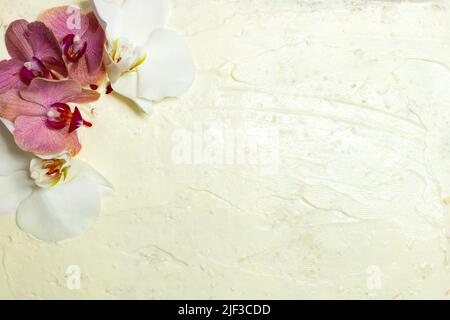 top view of a flat cake, decorated with orchid flowers. Minimal bakery background, natural concept. Stock Photo