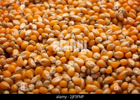 Dry raw corn kernels for making popcorn food background Stock Photo
