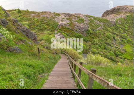 A long staircase on the North Head Trail at Signal Hill Stock Photo