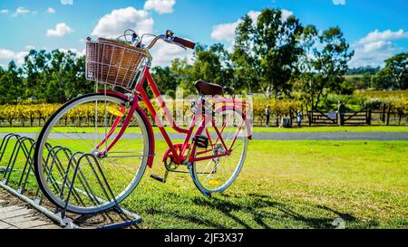 Vintage red bicycle in a park in the summer Stock Photo