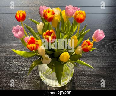 Brightly coloured tulip flowers in a glass vase on a black wooden table Stock Photo