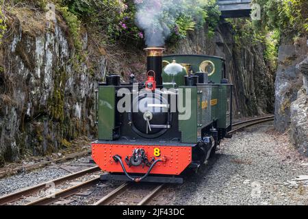 A steam engine at Devil's Bridge station on the Vale of Rheidol Railway, near Aberystwyth, Ceredigion, Wales Stock Photo