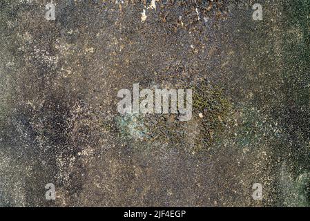 Vintage background, Dirt wall background texture of rough cement wall with moss stain. Stock Photo