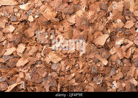 Top view of pine bark mulch chips texture Stock Photo