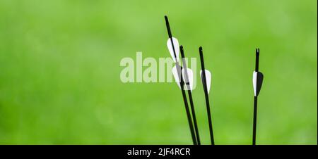 Header Archary Archery arrows on green background. Professional sport concept ...