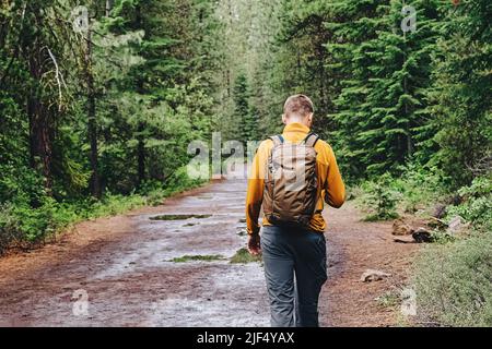 Man with a backpack walking on the trail through the forest with pine trees after the rain. View from the back. Stock Photo