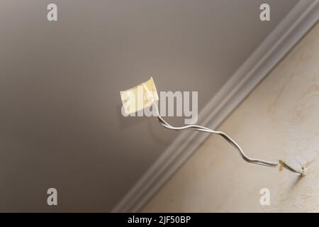 Close-up of an insulated power cable on the wall of an apartment. Stock Photo
