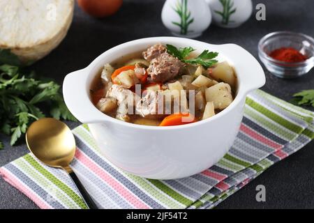 Pichelsteiner, German stew or thick soup with meat and vegetables in white bowl Stock Photo