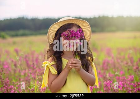 A beautiful playful little girl in a straw hat, holds a bouquet of burgundy viscaria flowers Stock Photo