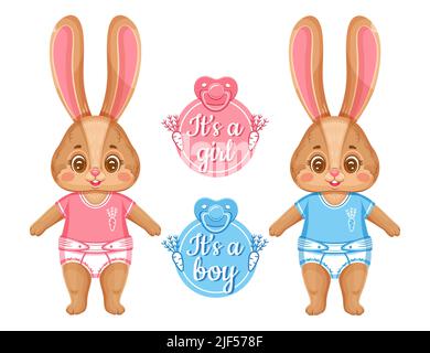 Cute newborn bunny, baby shower. Announcement child birth. It's boy, girl. Infant rabbit twins, daughter and son. Birthday new born hare animal vector Stock Vector
