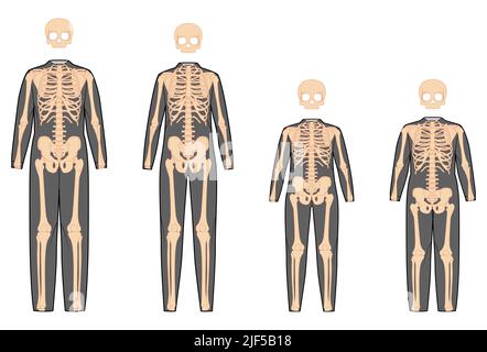 Set of Skeleton costume Human bones for whole family front view men women, boy, girl for Halloween, festivals, Day of the dead flat black color concept Vector illustration of anatomy isolated Stock Vector