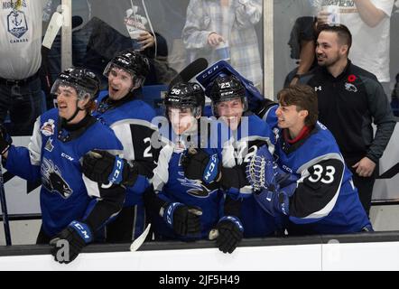 Saint John Sea Dogs - Happy 20th birthday, Thomas Chabot!