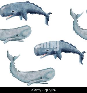 Hand drawn watercolor seamless pattern with sperm whale. Sea ocean marine animal, nautical underwater endangered mammal species. Blue gray illustration for fabric nursery decor, under the sea prints Stock Photo