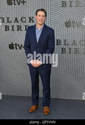 Los Angeles, USA. 29th June, 2022. LOS ANGELES, USA. June 29, 2022: Joe Williamson at the premiere of Apple TV's Black Bird at the Bruin Theatre, Westwood. Picture Credit: Paul Smith/Alamy Live News Stock Photo