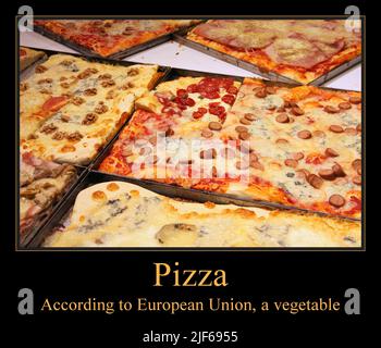 Pizza funny meme for social media sharing. Pizza is a vegetable meme. Demotivational poster. Stock Photo