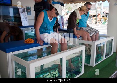 Tourists at the fish doctor, doctor fishes (Garra rufa) cleaning feet of tourists, promenade of Playa del Ingles, Grand Canary, Canary islands. Spain Stock Photo