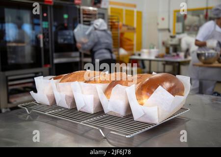 Row of tasty freshly baked loaves of bread served on metal rack on table in light professional bakehouse with various equipment and workers Stock Photo