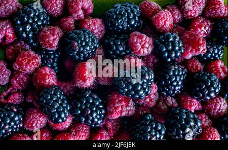 mixed berries full frame berries Stock Photo