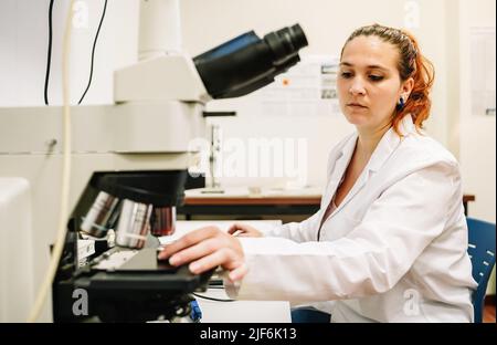 Focused female scientist in medical white uniform putting chemical sample into modern microscope while working at table in light laboratory Stock Photo