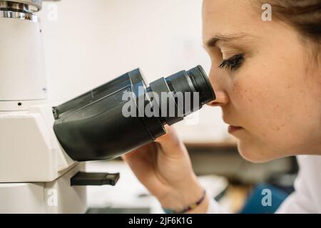 Side view of concentrated female scientist in white medical uniform looking through modern microscope while examining samples in light laboratory Stock Photo