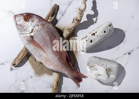 Top view of raw common seabream fish placed on stones near driftwood sticks and sand on white background Stock Photo