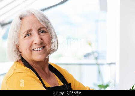 Close up portrait of cheerful elderly female gardener in apron looking at camera while taking care of potted plants at home on a sunny day Stock Photo