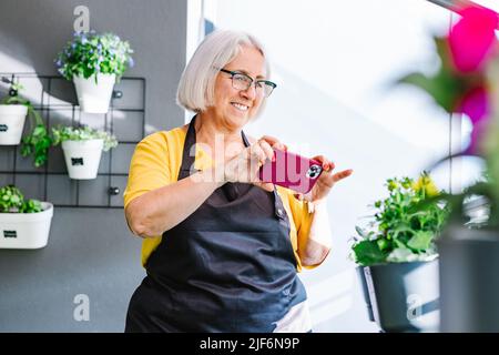 Positive mature female gardener in apron and eyeglasses taking pictures of her plants with a phone Stock Photo