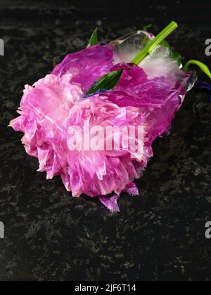 Frozen pink peony flower head in ice cube on black background, closeup. Stock Photo