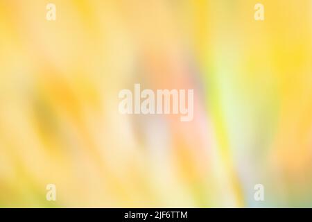 Colorful pastel defocused texture. Blurred pastel natural background. Visual unusual pastel content. Stock Photo