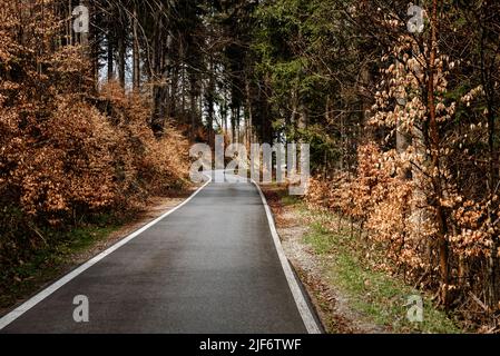Scenic mountain winding road through autumn forest. Empty asphalt road with forest hills. Road landscape Stock Photo