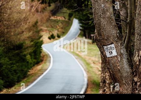 Painted bike sign on a tree in the forest along mountain bike trail. Cycling in the mountains on winding mountain road, copy space Stock Photo