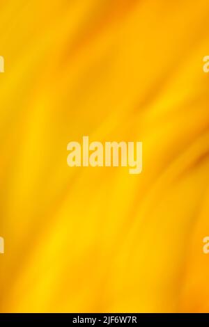 Orange yellow saturated pigmented bokeh. Yellow and orange bokeh texture. Stock Photo