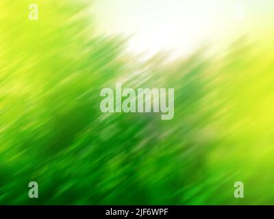 Green leaves in a forest abstract blurred  background. Blurred leaves on the tree in garden. Stock Photo