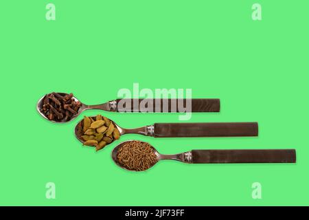 Concept image with spoons containing cloves cumin seeds and cardamon cardamom pods on a colourful green mint background Stock Photo