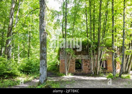 Hermann Goring's house in Wolf's Lair. Former war headquarters of Adolf Hitler in Poland Stock Photo