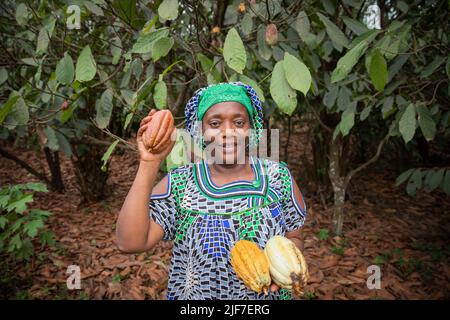 African farmer with freshly harvested cocoa pods from her plantation Stock Photo