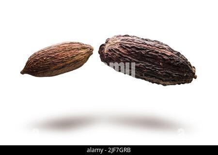 Cocoa pods jumping on white background Stock Photo