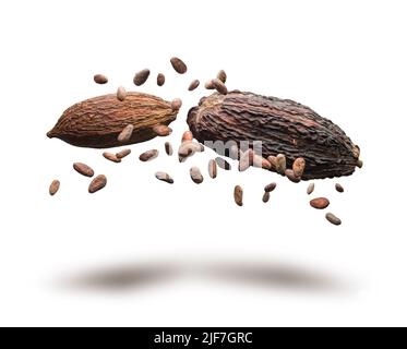 Cocoa pods and beans jumping on white background Stock Photo