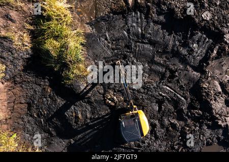 Crawler excavator cleans the pond of silt and algae. Earthworks service, cleaning of water bodies. Stock Photo
