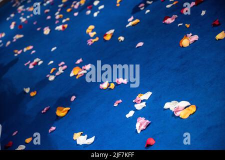 Colorful petals scattered on a blue carpet Stock Photo