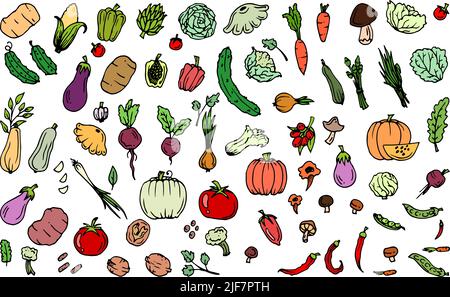 Delicious vegetables. Garden fruits. Edible food plants. Seamless pattern. Hand drawn outline. Isolated on white background. Vector Stock Vector