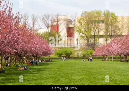 People enjoying the cherry blossoms in the Brooklyn Botanical Garden Stock Photo