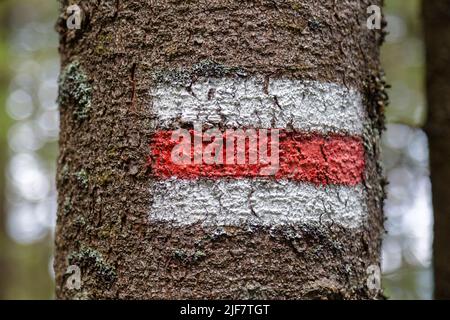 Marking the tourist route painted on the tree in red and white. Travel route sign in the Carpathians mountains Stock Photo