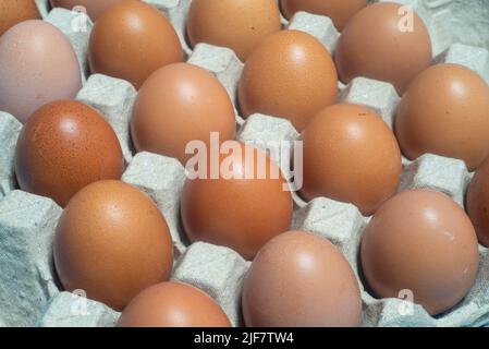 Close-up shot of chicken eggs placed in an egg carton. Protein foods are suitable for everyone. Stock Photo