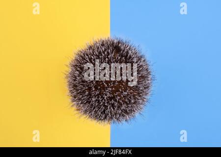 shaving brush on a yellow blue background. View above. Space for text Stock Photo