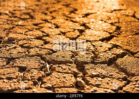 Close-up of cracked asphalt texture in evening golden sunslight. Cracks on the old road surface. Stock Photo