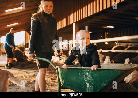 Young woman pushing toddler son in wheelbarrow at stable Stock Photo