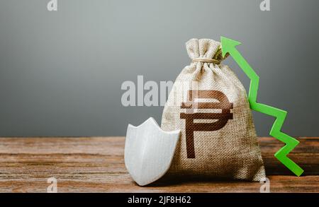 Philippine peso and a shield with an arrow up. Safeguarded capital. Insurance. Compensation, social guarantees. Guaranteed protection of retirement sa Stock Photo